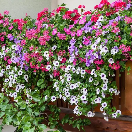 Haus Nannaree Bed and breakfast