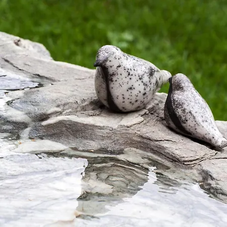 Haus Nannaree Bed and breakfast Sankt Gallenkirch